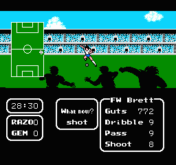 Tecmo Cup Soccer screenshot 3 for NES